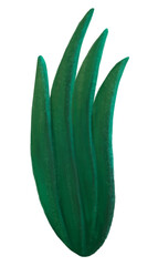 Fototapeta premium Green leaf png sticker, botanical illustration, transparent background
