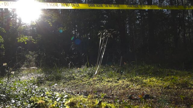 Low angle view of a yellow police crime scene forensic tape hanging above a sun covered nature hiking forest trail or road where a knife is stabbed in the mossy and foliage covered ground. Sun shining