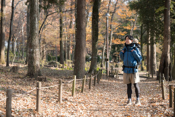 Fototapeta premium 秋冬の紅葉の山を登山をする景色を見上げる若い男性 アウトドアのお出かけやレジャーのイメージ 全身