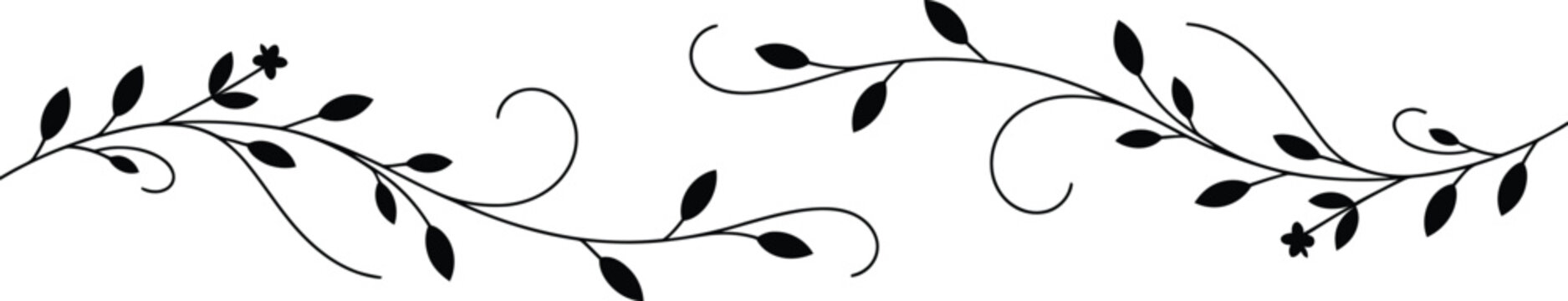 Black floral vine decorative elements on white vector