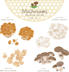 きのこづくしベクターセット＜ナメコ・ハナビラタケ・白キクラゲ・ヒラタケ＞
