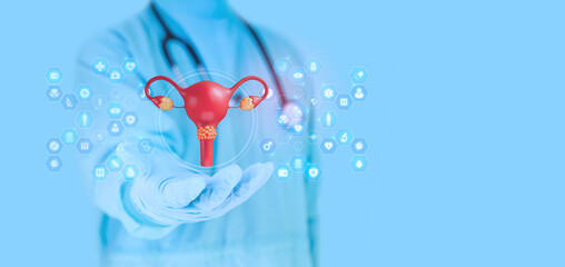 Gynecologist examines a uterine model. Concept of cervical cancer screening and Pap smear awareness. HPV. 3D model of a cervix with cancerous cells. Women's Health