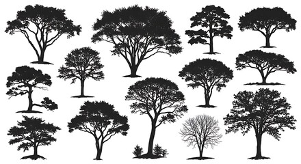 Collection of diverse tree silhouettes displayed against a white background