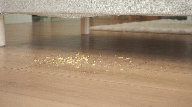 Food crumbs on floor under couch by a living room