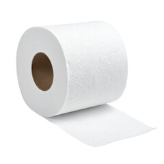 Fresh Roll of Toilet Paper: An close up image of fresh roll of toilet paper, representing hygiene and sanitation.