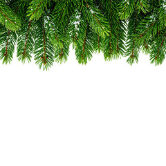 Evergreen Branch Border: Lush, verdant evergreen branches cascade downwards, creating a vibrant and natural border, perfect for conveying a sense of freshness and festive spirit.