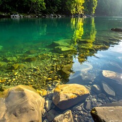 Crystal-clear turquoise water reveals a rocky riverbed, reflecting the lush green forest overhead under sunlight