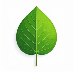 Obraz premium Detailed Green Leaf Illustration on Clean White Background Vector Graphic