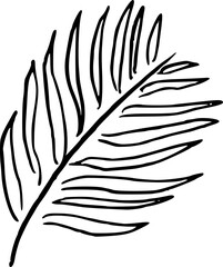 Obraz premium Leaf Hand Drawn Illustratrion