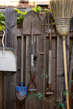 Gardening tools hanging on wood fence