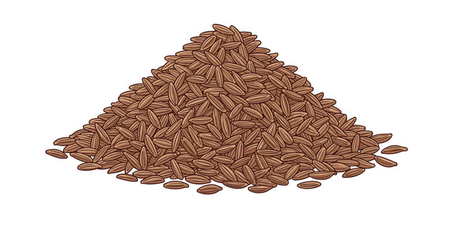 A hand-drawn illustration depicting a large heap of whole cumin seeds, ready for use in cooking and culinary applications.