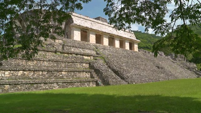 Stone temples of Palenque surrounded by dense green jungle in soft daylight, static wide sideview, establishing