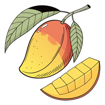 &ldquo;Mango Fruit Vector Illustration Whole and Sliced Tropical Fruit&rdquo;