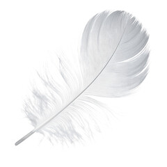 Ethereal Feather's Whisper: A delicate single feather, a symbol of lightness and freedom, floats gracefully, its intricate texture and soft form contrasting against the air.