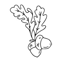 oak leaves and acorns line art vector