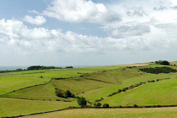View SW from the South Dorset Ridgeway on Bronkham Hill over farmland toward Portesham near the Hardy Memorial. South Dorset