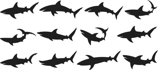 Silhouette Collection Of Sharks In Various Poses On White Background ocean marine © Shakila