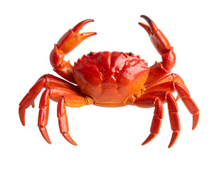 Detailed Red Crab Figurine with Textured Shell