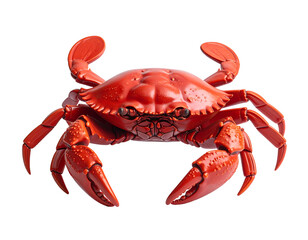 Detailed Red Crab Figurine on White Background
