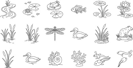 Pond ecosystem with frog, fish, duck, plants, dragonfly, tadpole, and aquatic life line art, cad drawing flat vector illustration © Nobin's World