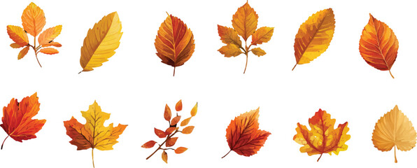 autumn leaves collection