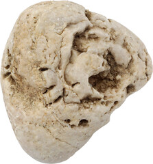 Porous Coastal Rock Isolated on Transparent Background