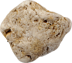 Porous Coastal Rock Isolated on Transparent Background