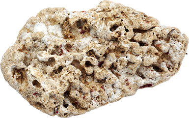 Porous Coastal Rock Isolated on Transparent Background