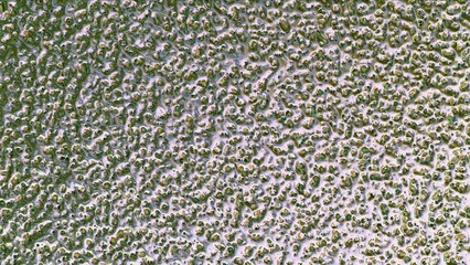 Abstract metallic surface with Titanium chemical polishing uses acidic solutions created by procedural geometric 3d modeling and materials.