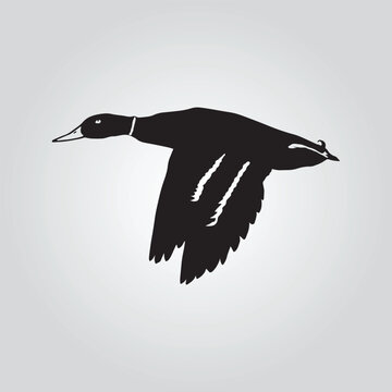 flying Duck Hunting vector design silhouette modern logo Decal