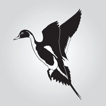 Pintail Drake Duck Hunting Decal  Pintail Drake Duck Hunting Sticker