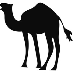 Camel Silhouette Islamic Illustration
