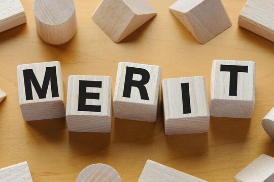 積み木に文字　MERIT 1