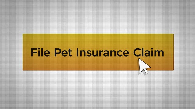 E-Commerce Series - Mouse Pushes File Pet Insurance Claim Button