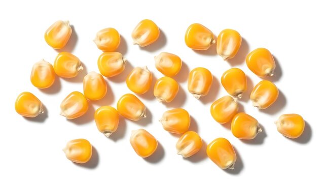 Scattered popcorn kernels raw corn seeds for healthy snacks and food preparation isolated on white b - Powered by Adobe
