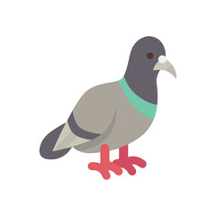 Pigeon, bird, avian icon