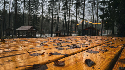 Wet wooden surface with autumn leaves in a forest camp area, cabins and tall trees visible in the background, warm evening lights creating a calm rustic outdoor atmosphere after rain