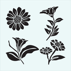 Botanical floral design set. Blooming plant elements. Nature summer spring flowers.