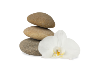 Calming arrangement of spa stones and white orchid, on white, PNG