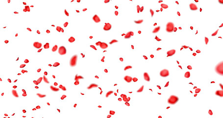 Red rose petals sway in the wind. Isolated on alpha background. 3D rendering.