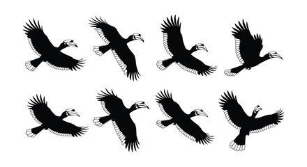 Silhouettes of hornbills in flight showcasing their unique wing shapes and beaks