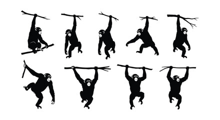 Silhouettes of chimpanzees swinging and hanging from branches in a playful scene © nurjahan