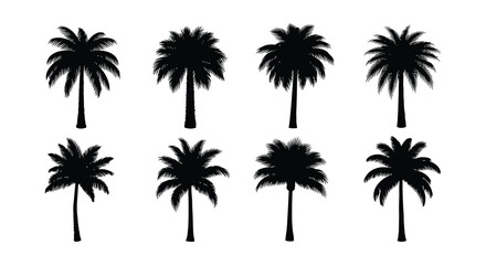 Fototapeta premium Silhouettes of lush palm trees showcase tropical vibes and natural beauty