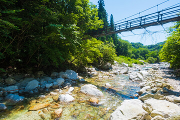 尾白川渓谷　夏