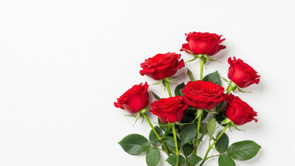 Obraz premium Roses on white background, flat clay design copy space