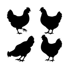 set of chicken silhouettes