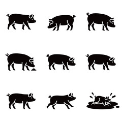 Black Pig Icons Collection Wallowing in Mud and Various Poses