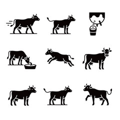 Dairy Cow Icons Set Milking Running and Drinking Water Poses
