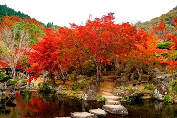 渓石園の紅葉