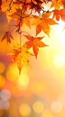 Obraz premium Close-up of vibrant autumn leaves, bathed in warm sunlight (1)